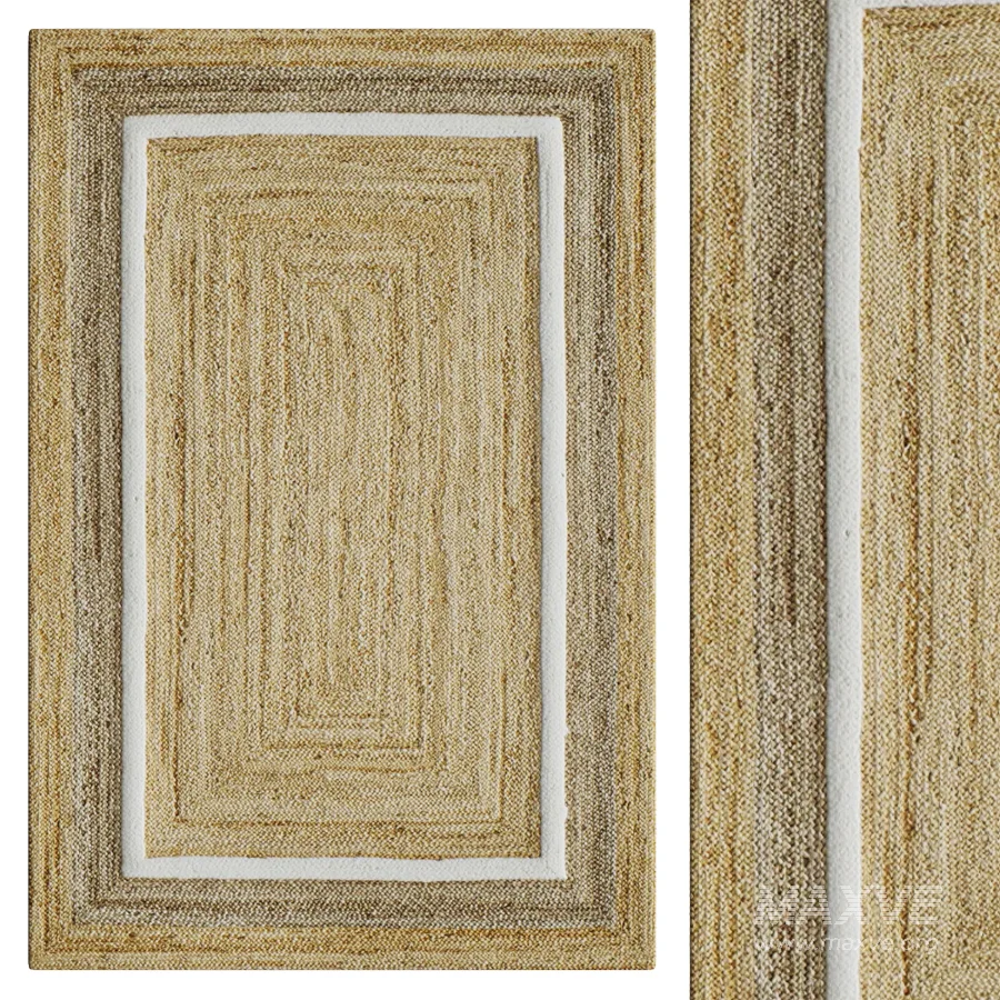 Natural Fiber Hand Woven Natural Area Rug - Image 1