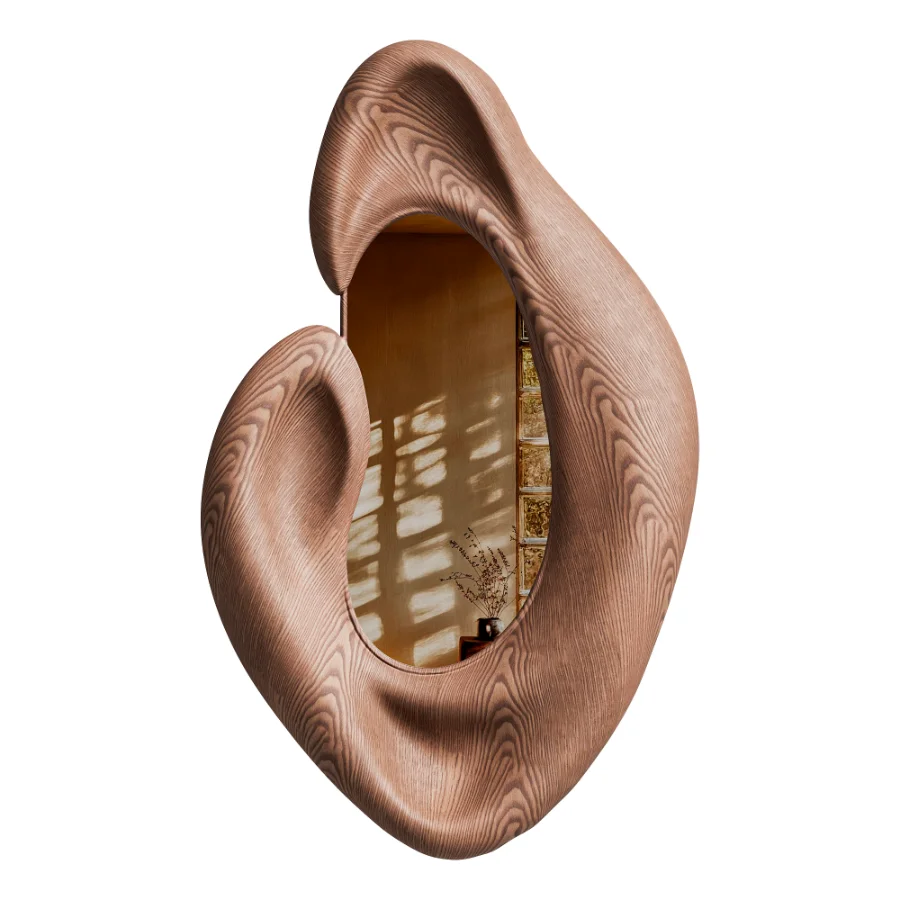 Sculptural Organic Mirror - Image 2