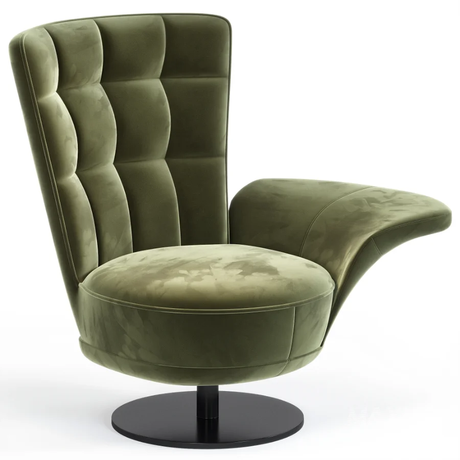 Ds 262 Swift Armchair By De Sede - Image 3