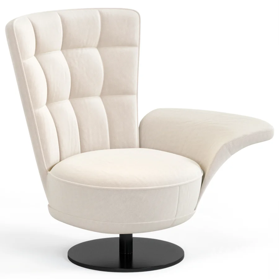 Ds 262 Swift Armchair By De Sede - Image 6