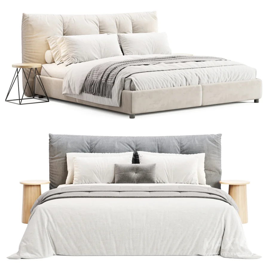 Papilo Ditre Italia - Image 6