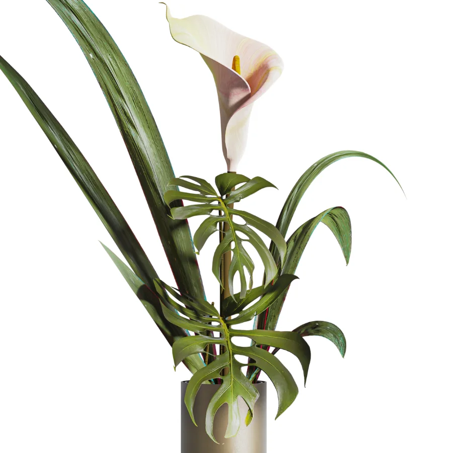Monstera Bouquet - Image 2