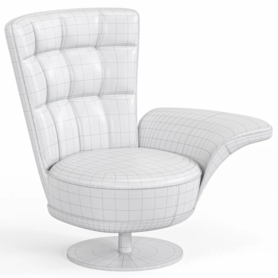 Ds 262 Swift Armchair By De Sede - Image 7