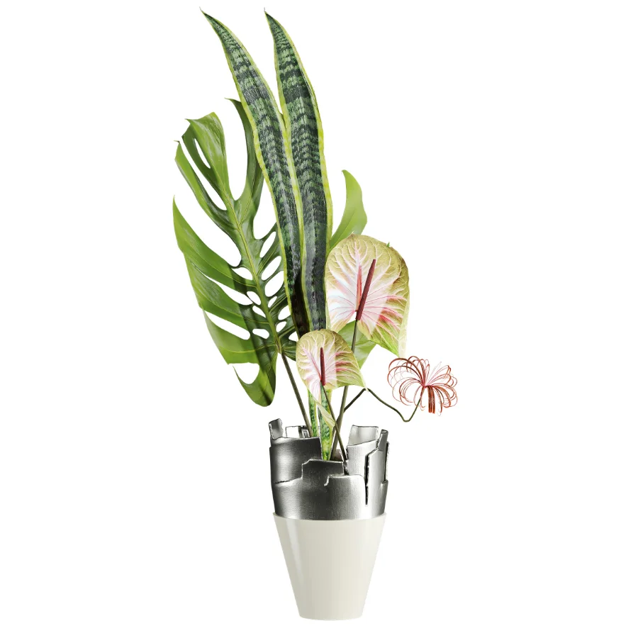 Monstera Bouquet - Image 2