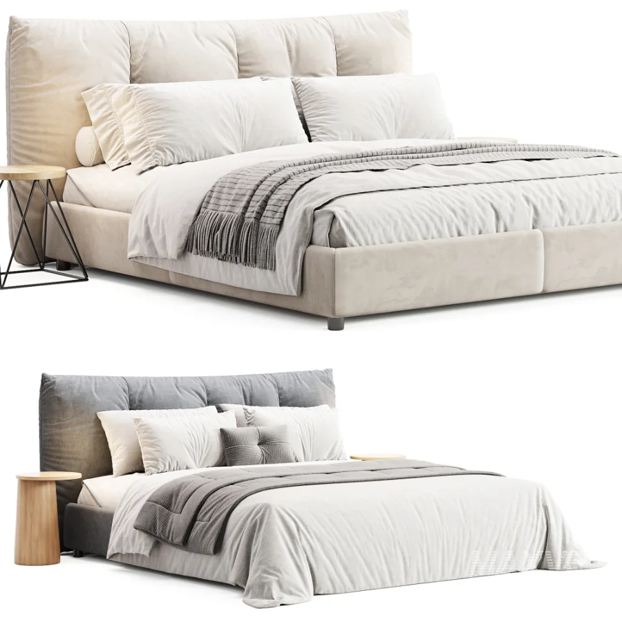 Papilo Ditre Italia - Image 2