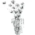 Bouquet - Thumbnail 2