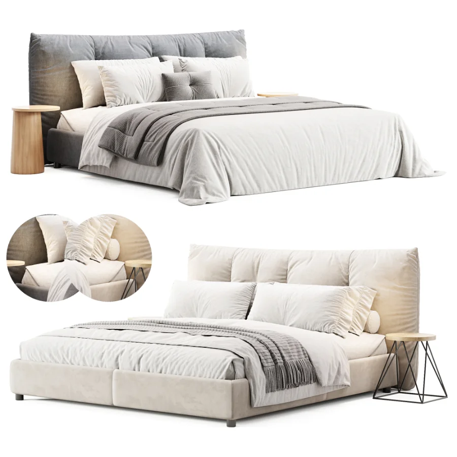 Papilo Ditre Italia - Image 1