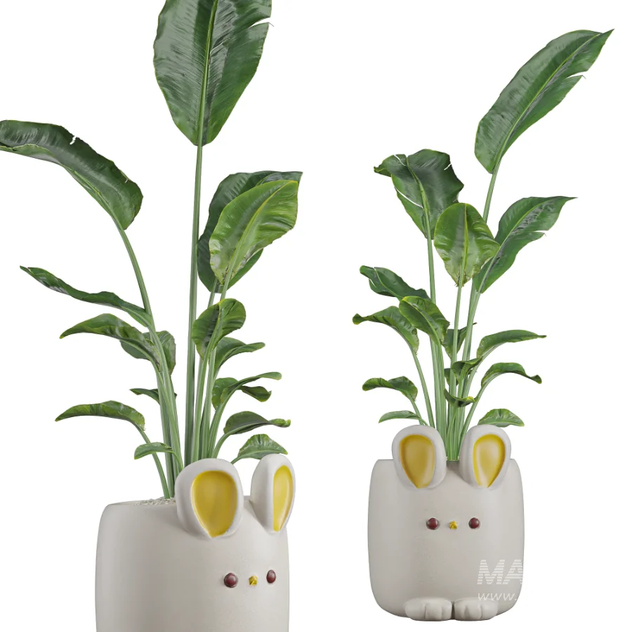 Bird_Paradise_Banana_Whismsical_Bunny_Rabbit - Image 4