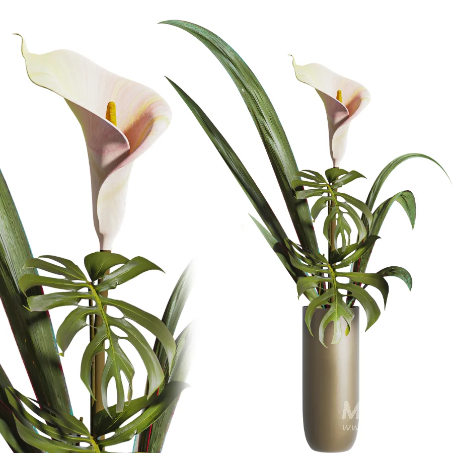 Monstera Bouquet - Image 3