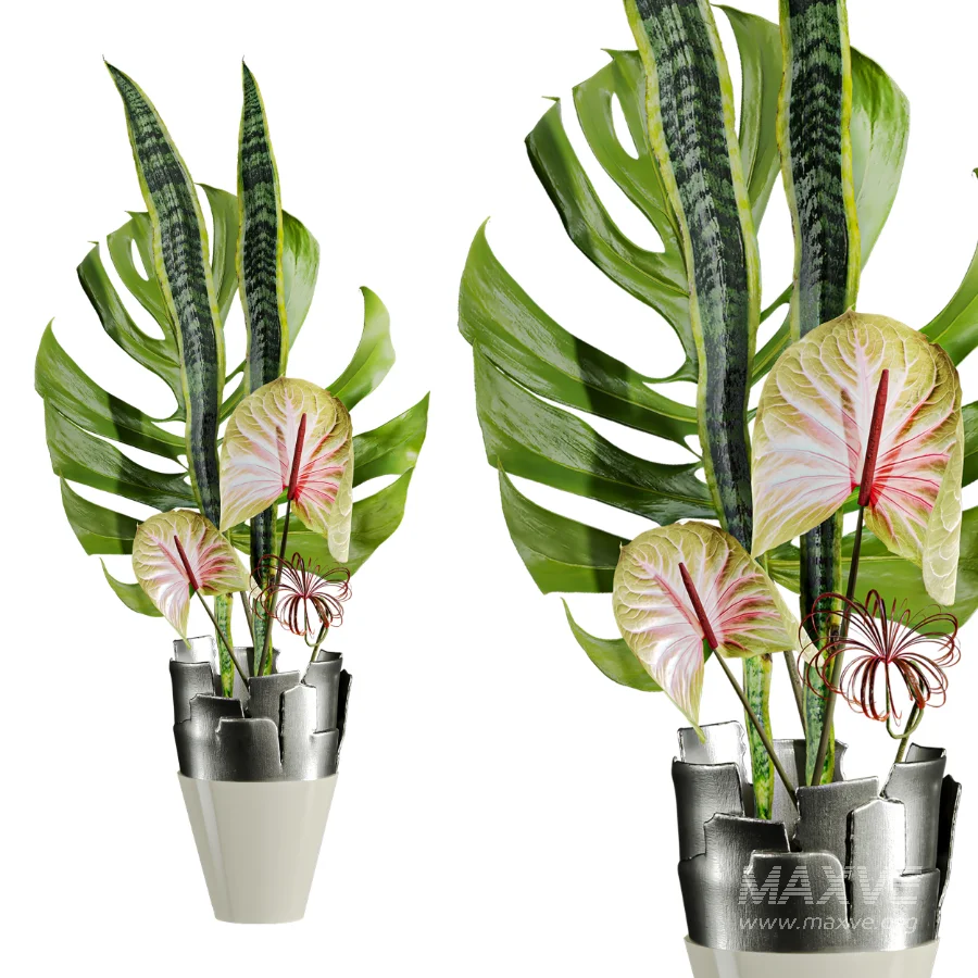 Monstera Bouquet - Image 3