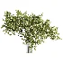 Bouquet Blooming Branch Spring Flowers in a Glass Vase - Thumbnail 1