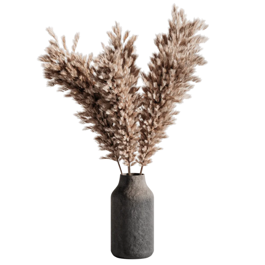 Pompas bouquet - Image 2