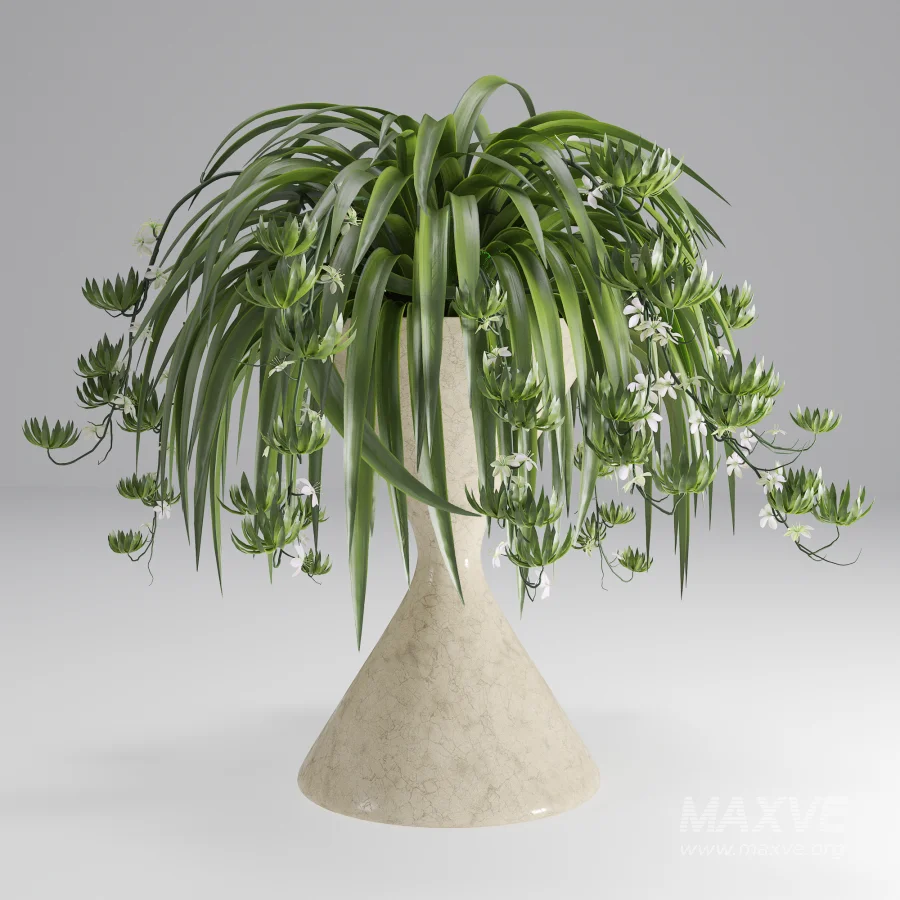 Spider Plant Chlorophytum Marble Hourglass Planter - Image 1