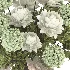 Flower in Vase - Thumbnail 5