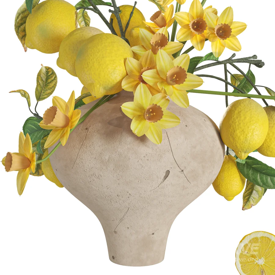 Spring Daffodils Lemon Branches Bouquet - Image 2