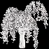 Beouquet of Branches in Vase - Thumbnail 5