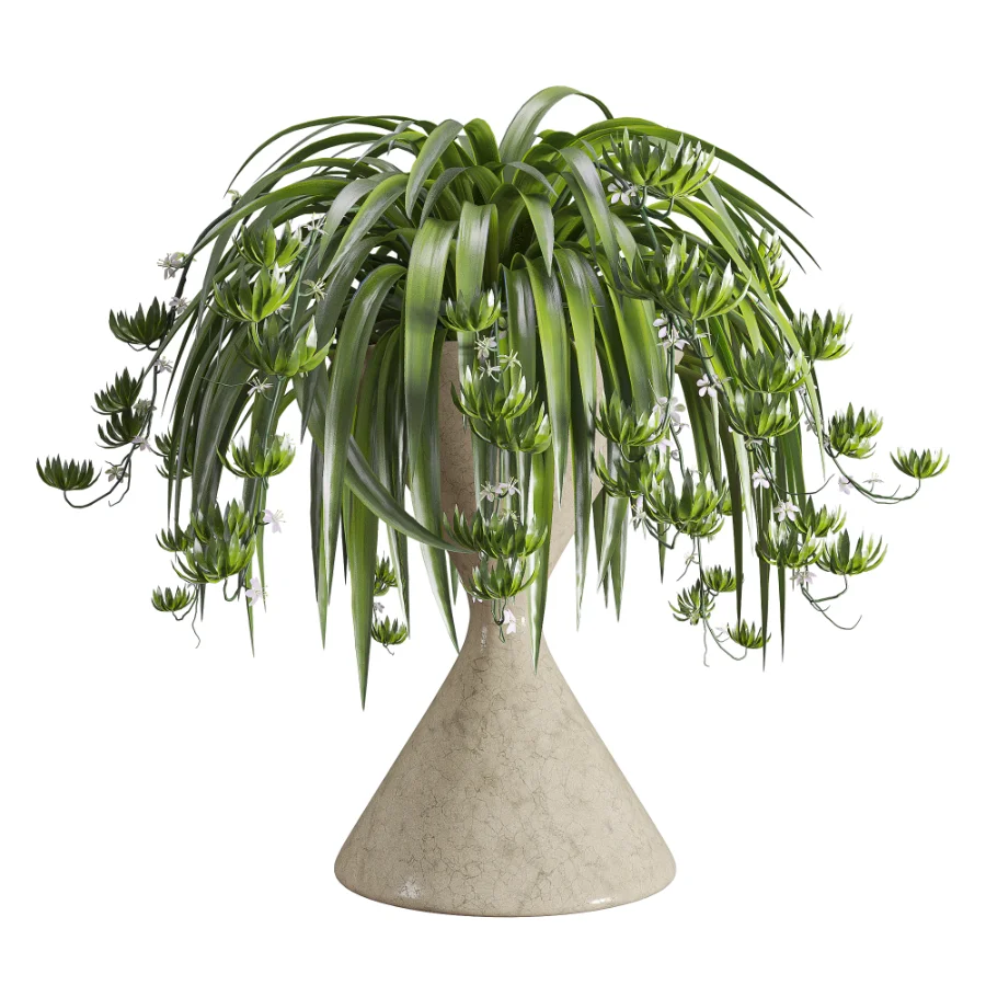 Spider Plant Chlorophytum Marble Hourglass Planter - Image 3