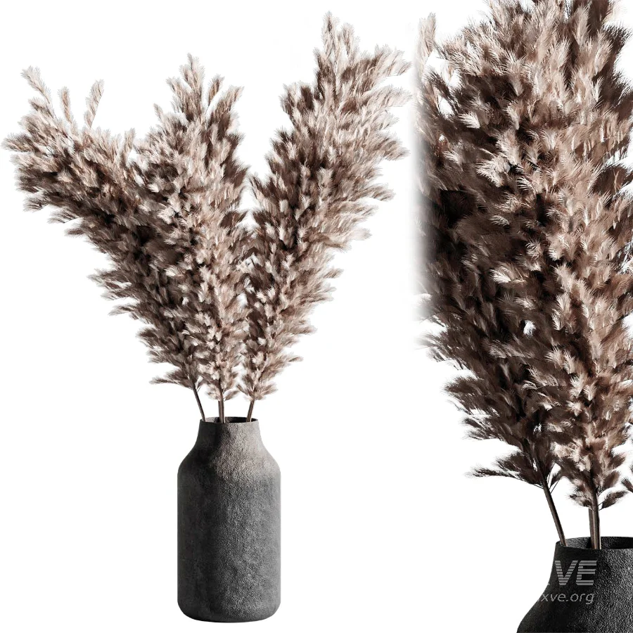 Pompas bouquet - Image 1