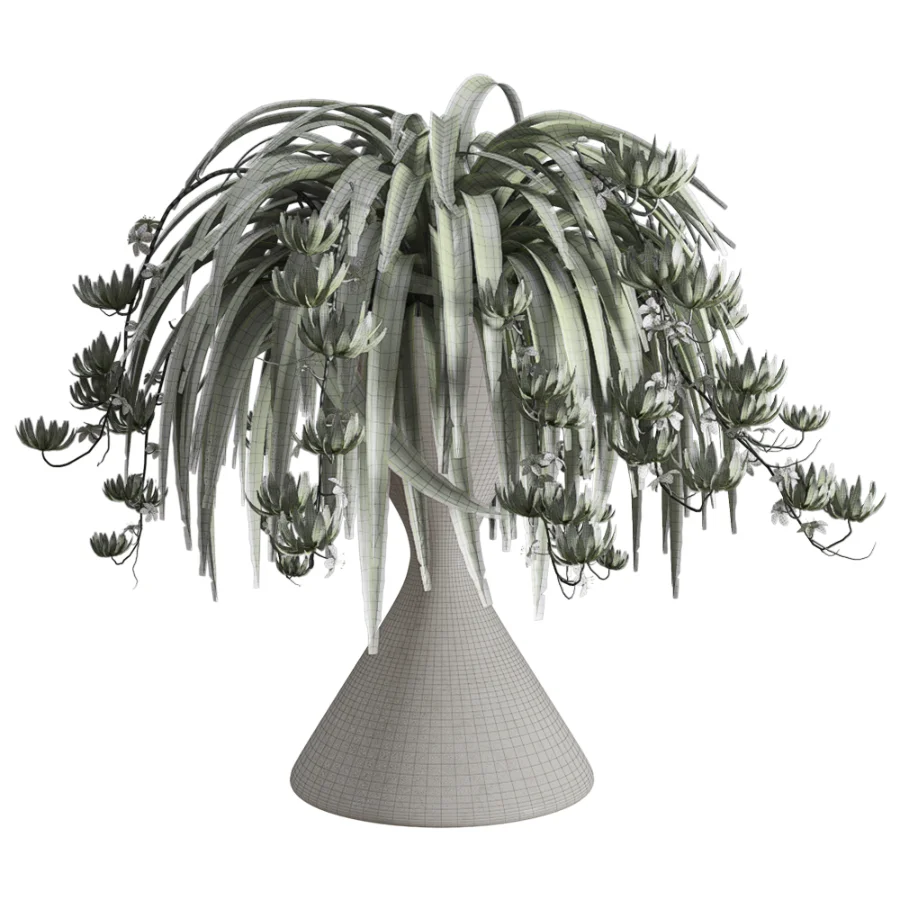 Spider Plant Chlorophytum Marble Hourglass Planter - Image 6