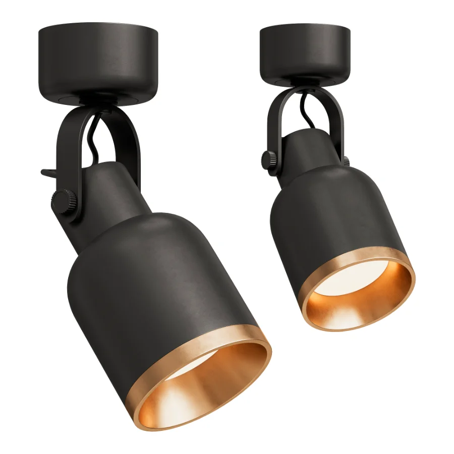 Bona Spotlight - Image 1