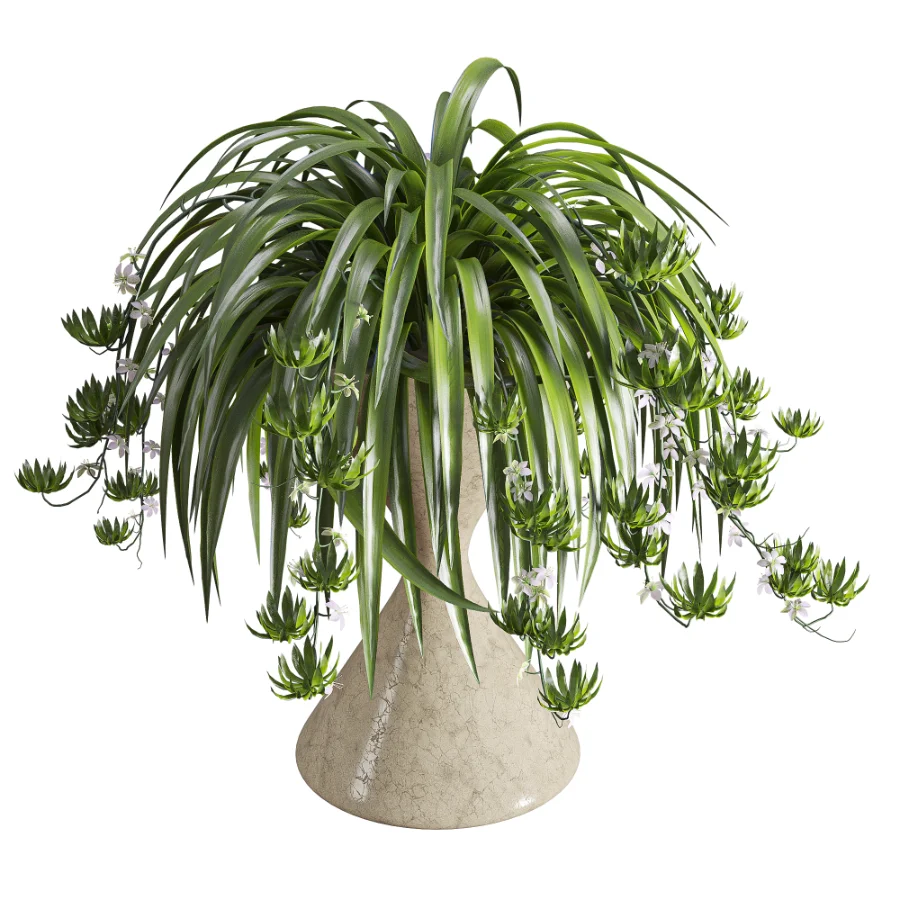Spider Plant Chlorophytum Marble Hourglass Planter - Image 2