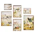 Wall Art Set of 6 - Thumbnail 4