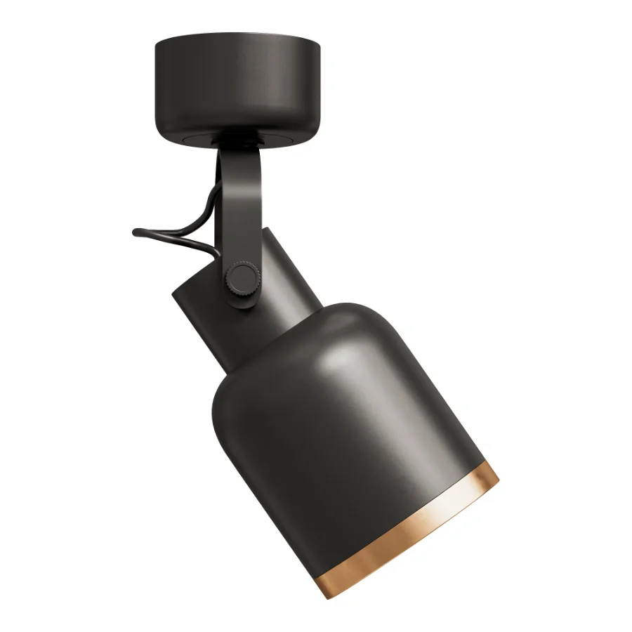 Bona Spotlight - Image 3