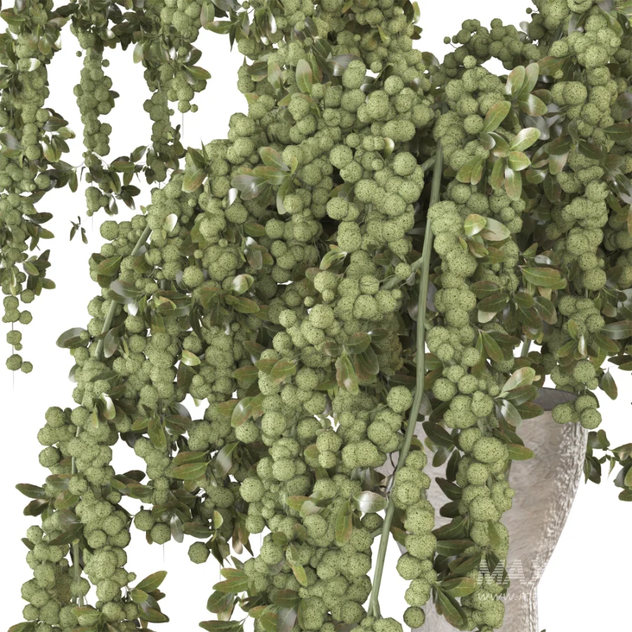 Beouquet of Branches in Vase - Image 4