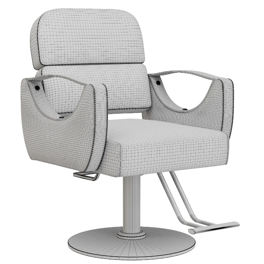 Adjustable Hair Salon Chair - Image 1