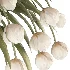 Beouquet of Tulips in Vase - Thumbnail 4