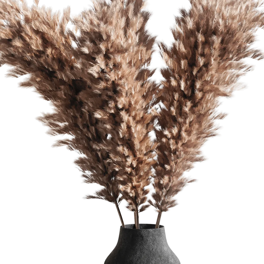 Pompas bouquet - Image 4