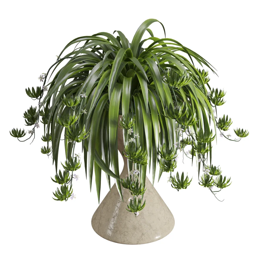 Spider Plant Chlorophytum Marble Hourglass Planter - Image 5