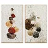 Wall Decor 14 Diorart - Thumbnail 2