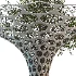 Park Shade Structure 02 - Thumbnail 6