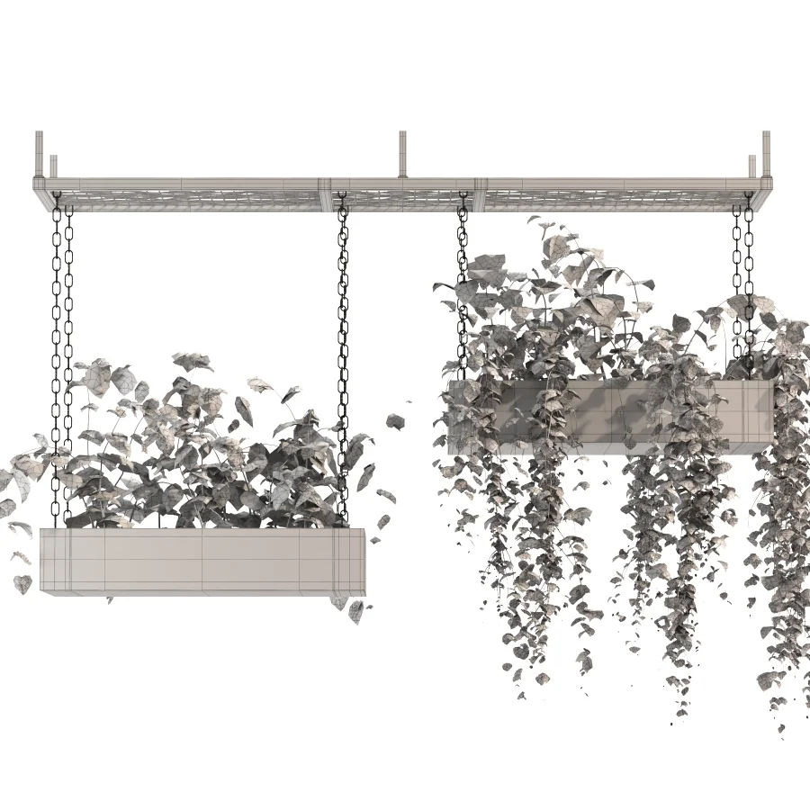 Hanging Plant 03 - Image 1