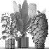 Boho Pot Plants 03 - Thumbnail 1