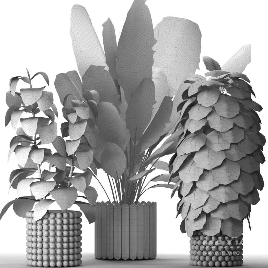 Boho Pot Plants 03 - Image 1