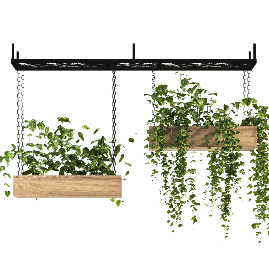 Hanging Plant 03 - Image 4