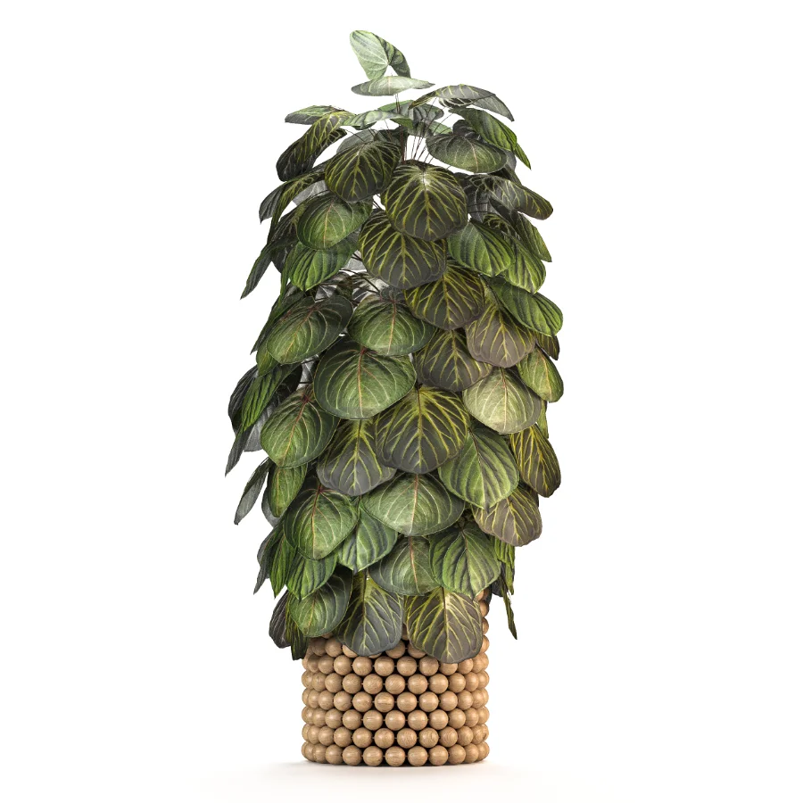 Boho Pot Plants 03 - Image 2