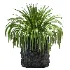 Concrete Pot Plant Set 08 - Thumbnail 4