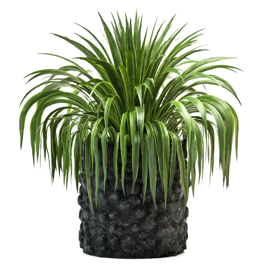 Concrete Pot Plant Set 08 - Image 4