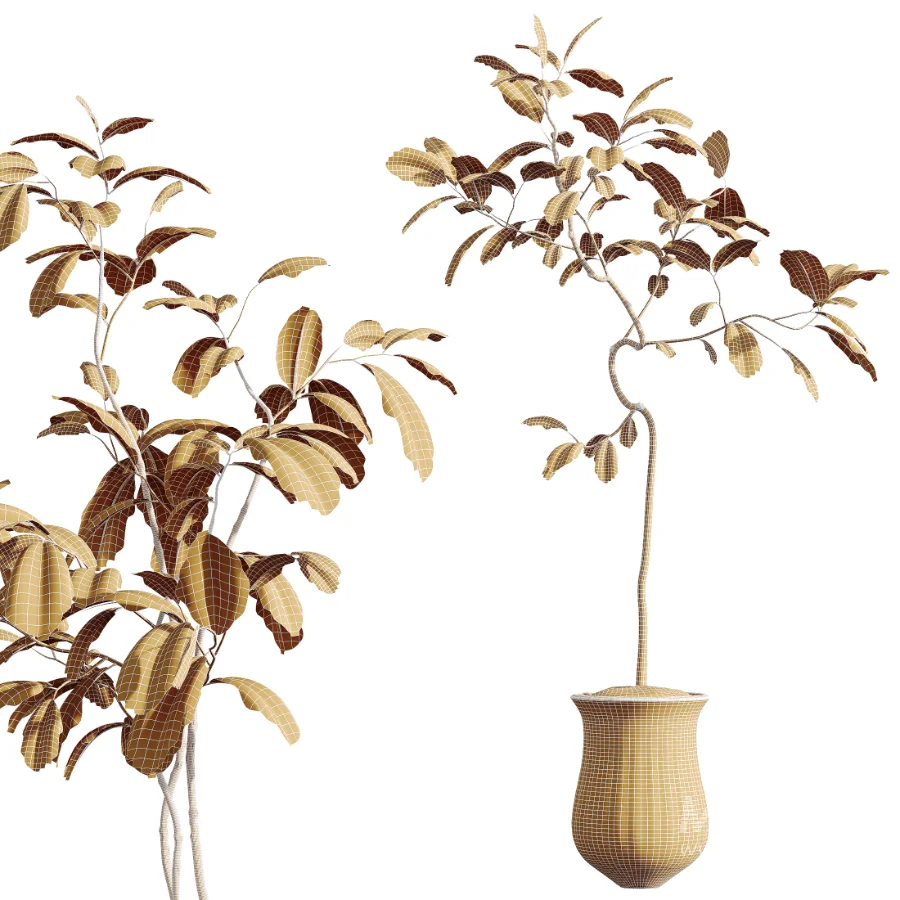 AV Indoor Plants Set 441 Areca Palm and Ficus Dracaena Marginata and Euphorbia Drupifera and Ravenala Banana - Image 6