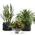 Concrete Pot Plant Set 08 - Thumbnail 5