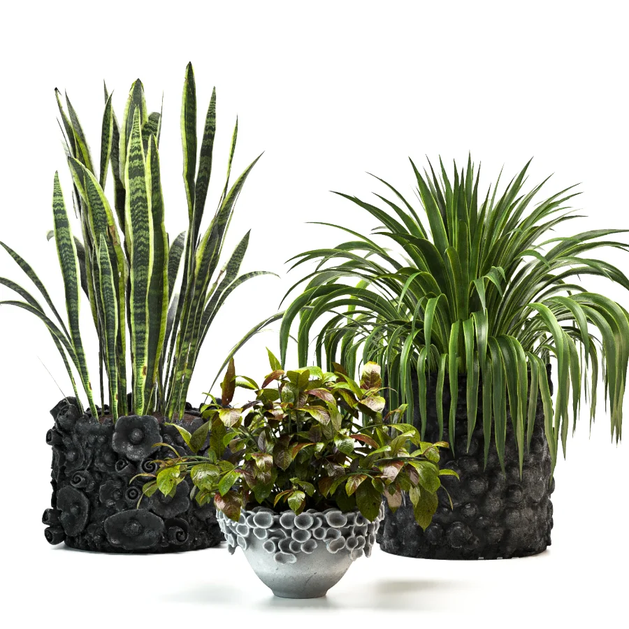 Concrete Pot Plant Set 08 - Image 5