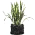 Concrete Pot Plant Set 08 - Thumbnail 1