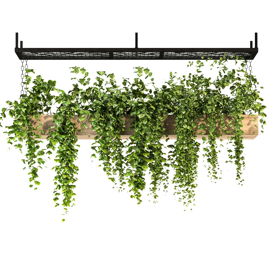 Hanging Plant 02 - Image 2