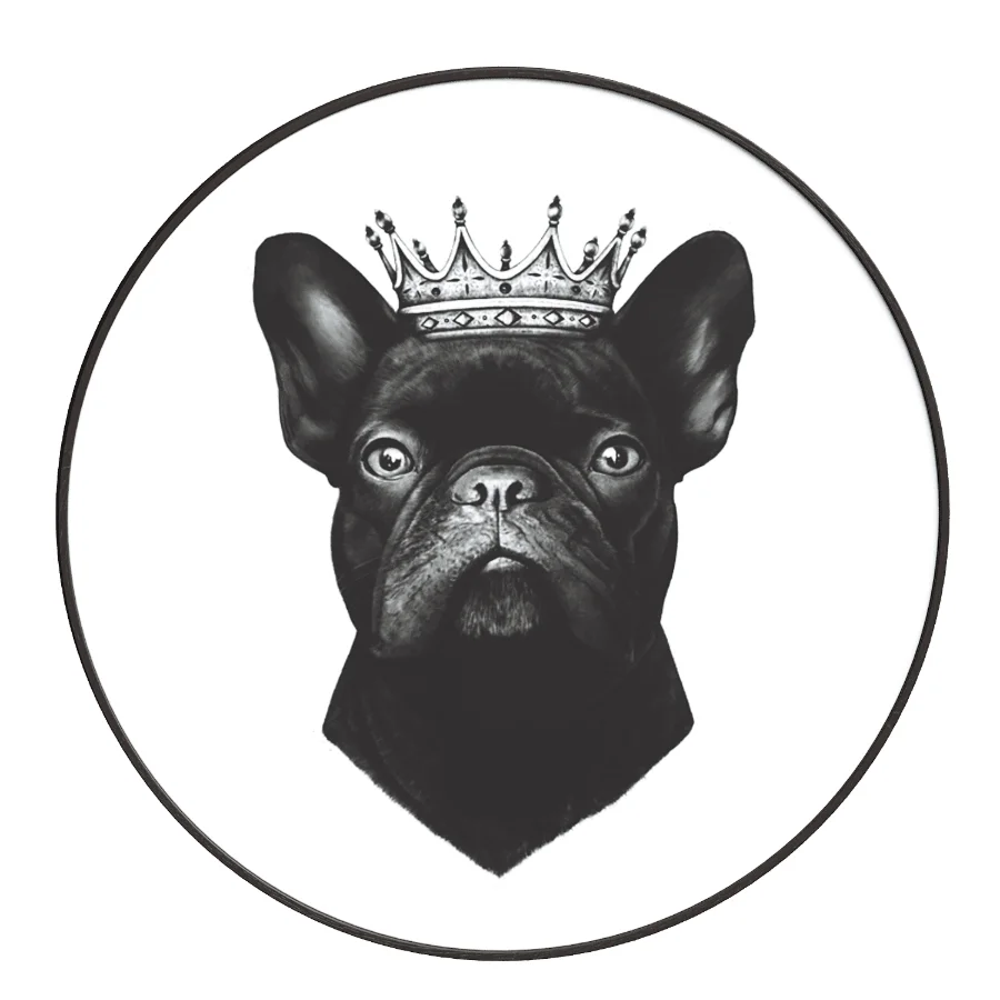 King French Bulldog - Image 3