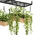 Hanging Plant 03 - Thumbnail 6