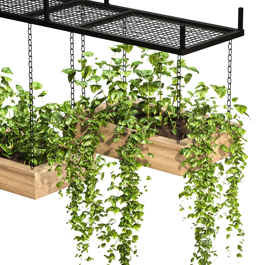 Hanging Plant 03 - Image 6