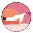 Maddies Mood Jota de jai Round - Thumbnail 3